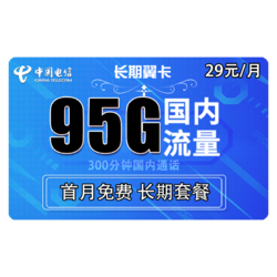 CHINA TELECOM 中国电信 长期翼卡 29元/月（95G全国流量+300分钟通话）