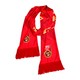 中国国家足球队加油助威围巾 中国队团结是铁 足球周边球迷装备薄款围巾 腾讯体育