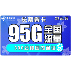 CHINA TELECOM 中国电信 长期翼卡 月租29元 95G流量（65G通用+30G专属）+ 300分钟通话