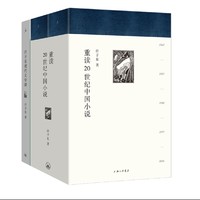 《重读20世纪中国小说》精装全二册