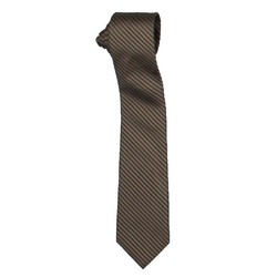 Calvin Klein 卡尔文·克莱 Mens Silk Professional Neck Tie