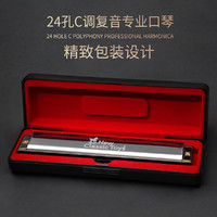 NEW CLASSIC TOYS 荷兰品牌 儿童音乐吹奏玩具乐器24孔金属口琴 节日礼物