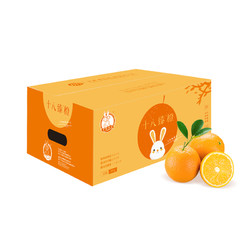 京觅 赣南脐橙 5kg 钻石果（单果约200g以上）礼盒装