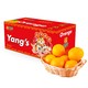 PLUS会员：京觅 杨氏赣南脐橙 铂金果 净含量2.85kg（单果150g起）礼盒装