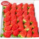 PLUS会员：甜莓小康 丹东九九草莓  大果 净重2.8斤