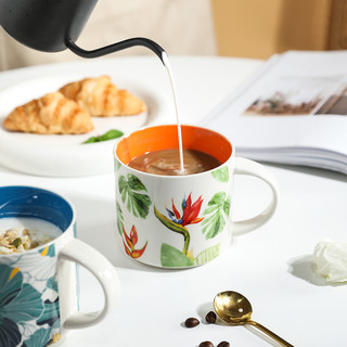 舍里 创意花鸟马克杯家用喝水把手杯子咖啡牛奶早餐杯大容量陶瓷杯 花鸟安士杯-蓝