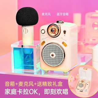 Divoom 点音蓝牙音箱迷你收音机家庭ktv音响套装户外K歌家用小蜜蜂扩音器教师专用便携式低音炮 抹茶绿 萌宠礼盒装