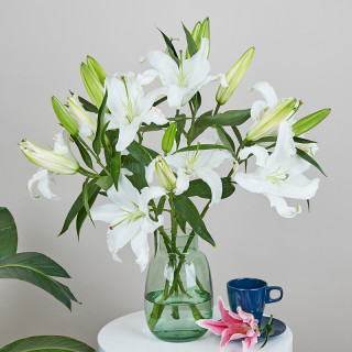 Reflower 花点时间百合花双头鲜花速递 报价价格评测怎么样 什么值得买 Reflower 花点时间百合花双头鲜花速递 报价价格评测怎么样 什么值得买