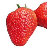 牛小花 辽宁东港 红颜草莓 中大果 单果果重20-30g 1.5kg