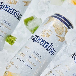 Hoegaarden 福佳 比利时风味白啤酒 500ml*24听