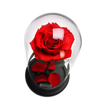 JoyFlower 情有独钟 玫瑰花玻璃罩礼盒