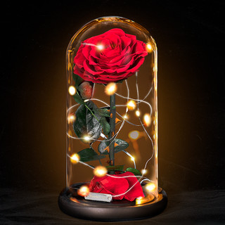 JoyFlower 情有独钟 玫瑰花玻璃罩礼盒