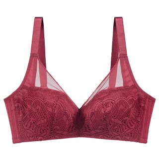 水中花女士软钢圈文胸818227酒红色75b