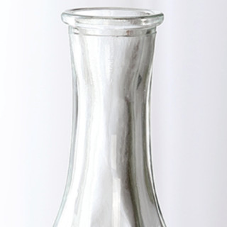 若花 维利斯塔 玻璃花瓶 透明色