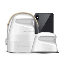 Flexwarm 飞乐思 9903-2A 电熨斗 白色