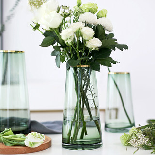 墨斗鱼 0432 T型玻璃花瓶 金+雅绿色 25cm