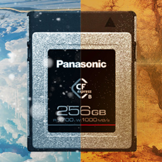 Panasonic 松下 RP-CFEX256 CF存储卡 256GB（1700MB/S）