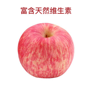 果伊满 陕西延安洛川红富士苹果水果新鲜脆甜多汁大果特产礼盒 净重5斤 80mm-85mm