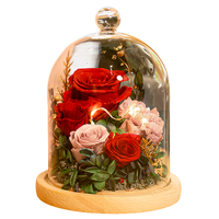 Beginning 初朵 暖暖的爱 康乃馨永生花束礼盒 红色 5朵