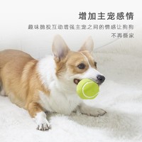 移动端、京东百亿补贴：EETOYS 宜特 绿色网球狗狗玩具趣味发声柔软可水洗洁齿球互动宠物用品