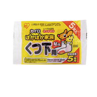 IRIS 爱丽思 足贴