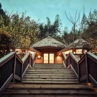 都江堰安缇缦度假酒店缇星谷树屋