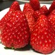  PLUS会员：三果夫 丹东99草莓 3斤 年货礼盒装　