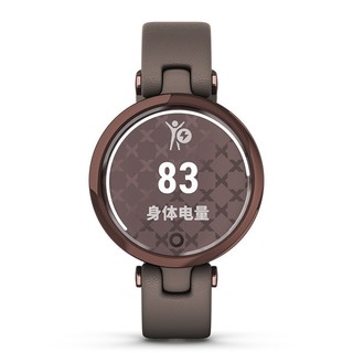 GARMIN 佳明 Lily 运动手表+Swell保温杯 暗棕深古铜 34.5mm 时尚版