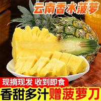 爽果乐 云南香水小菠萝 单果400g+ 新鲜水果 9斤装 配送菠萝刀
