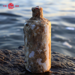 福建湛仙三年海藏酒白酒纯粮酱香型53度海底六年陆地窖藏坤沙老酒