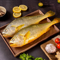 sandugang三都港条冻黄花鱼新鲜冷冻宁德大黄鱼黄鱼海鲜水产约3斤