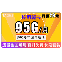 CHINA TELECOM 中国电信 长期翼卡 29元月租 95G（65G通用+30G专属） + 300分钟通话
