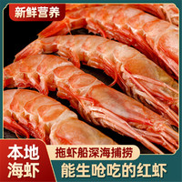 东半山 产地直发 舟山特产新鲜大头红虾海虾鲜活冰虾一斤40只左右