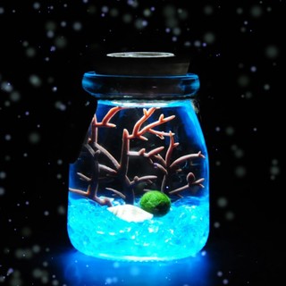 幸福海藻球微景观生态瓶创意迷你植物桌面玻璃瓶天然水培球藻盆栽 150ml宝石蓝(带灯) 包括1颗1岁球球