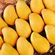 寻味君 海南小台芒果 当季小台农 新鲜水果生鲜 5斤 大果(单果约100-130g)