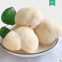 Gusong 古松食品 猴菇2斤约6-10个