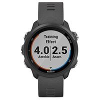 GARMIN 佳明 Forerunner 245 跑步智能手表 ‎010-02120-00 石板灰 43.2mm