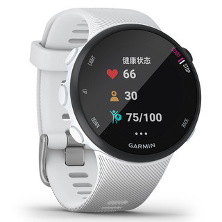 GARMIN 佳明 Forerunner 45S 户外手表 010-02156-30 光白 39.5mm