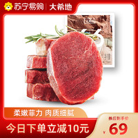 大希地 整切菲力牛排100g*5片（1盒装） 柔嫩脊肉牛肉