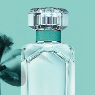 Tiffany&Co. 蒂芙尼 钻石同名女士浓香水 EDP 50ml