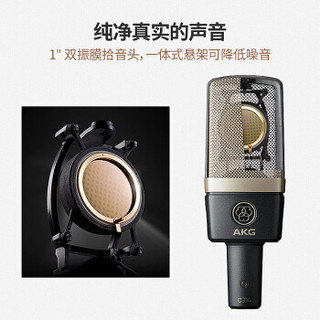 爱科技（AKG） C314 C214专业录音主播直播K歌麦克风专业录音棚大振膜电容话筒 官方标配