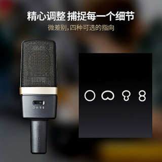 爱科技（AKG） C314 C214专业录音主播直播K歌麦克风专业录音棚大振膜电容话筒 官方标配