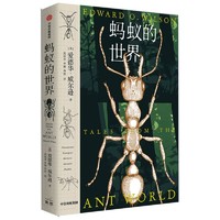 新书推荐：《蚂蚁的世界》