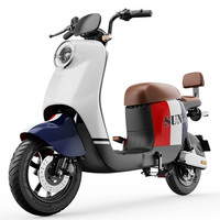 SUNRA 新日 小凤雅Q3 电动自行车 TDT9381Z 48V24A锂电池 海棠红/皓月白/暗影蓝 智能版