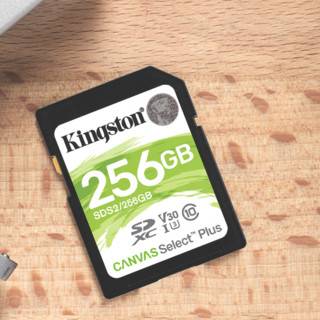 Kingston 金士顿 SDS2系列 SD存储卡 (USH-1、V30、U3)