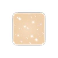 TCL 星空系列 时尚LED吸顶灯