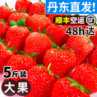 甘福园 丹东99草莓5斤新鲜水果红颜大果牛奶奶油九九草莓应当季3顺丰包邮 500g 中小果（单果25g以下）