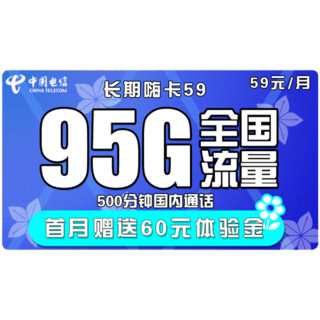 CHINA TELECOM 中国电信 长期翼卡 29/月