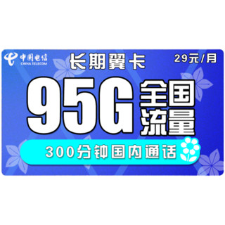 CHINA TELECOM 中国电信 长期翼卡 29/月