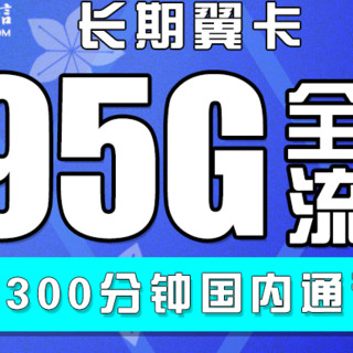 CHINA TELECOM 中国电信 长期翼卡 29/月